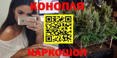 сатива Канаш