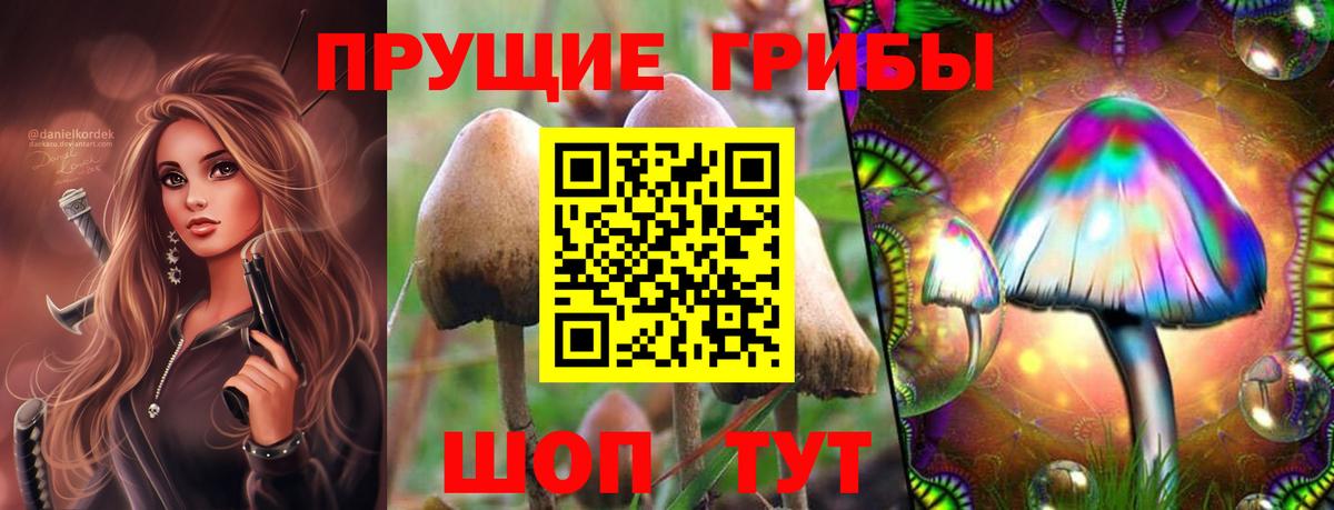 Лабинск  Галлюциногенные грибы GOLDEN TEACHER  Вход с VPN 